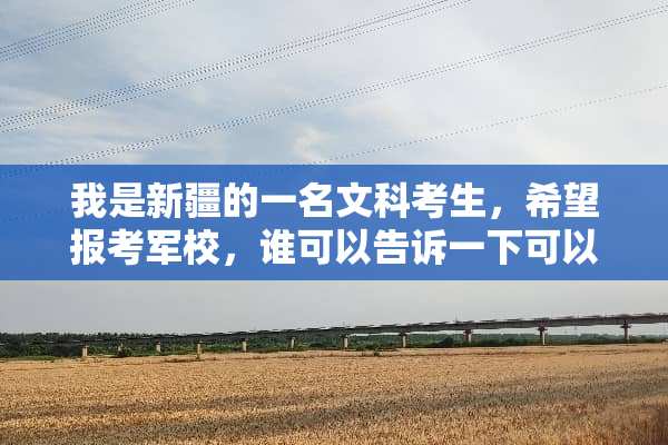 我是新疆的一名文科考生，希望报考军校，谁可以告诉一下可以报考的军校有哪些？谢了？
