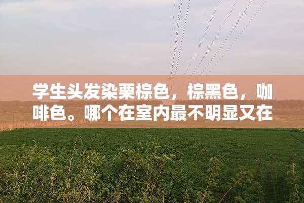 学生头发染栗棕色，棕黑色，咖啡色。哪个在室内最不明显又在阳光下好看？