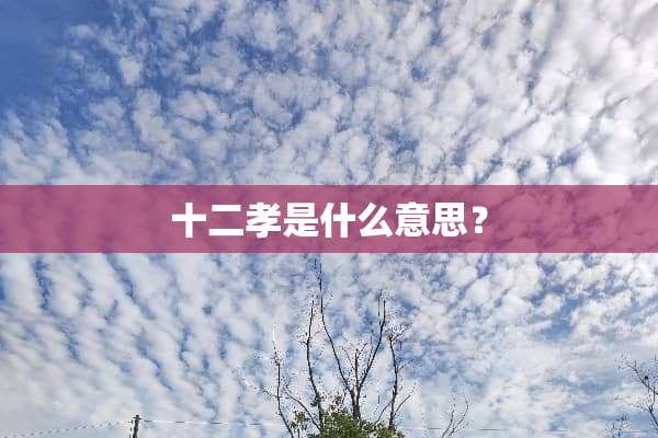 十二孝是什么意思？