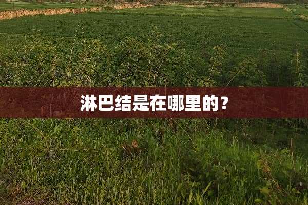 淋巴结是在哪里的？