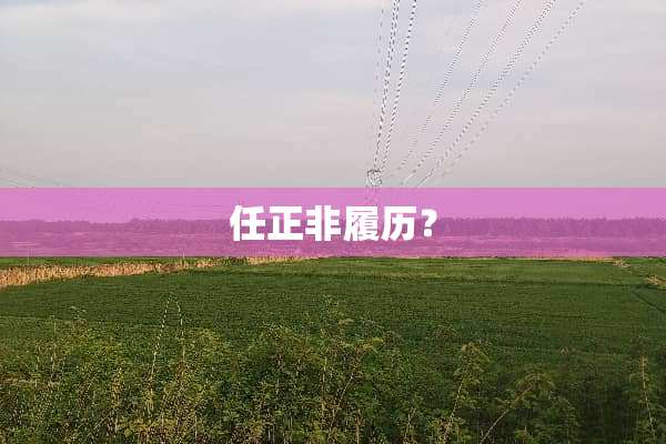 任正非履历？