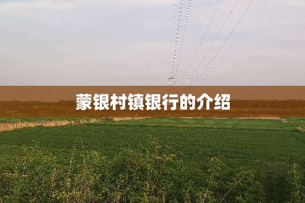 蒙银村镇银行的介绍