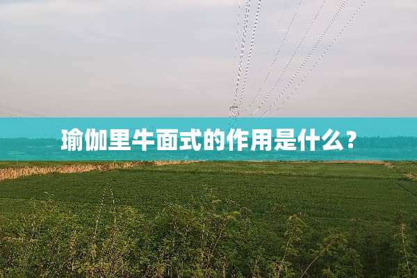 瑜伽里牛面式的作用是什么？
