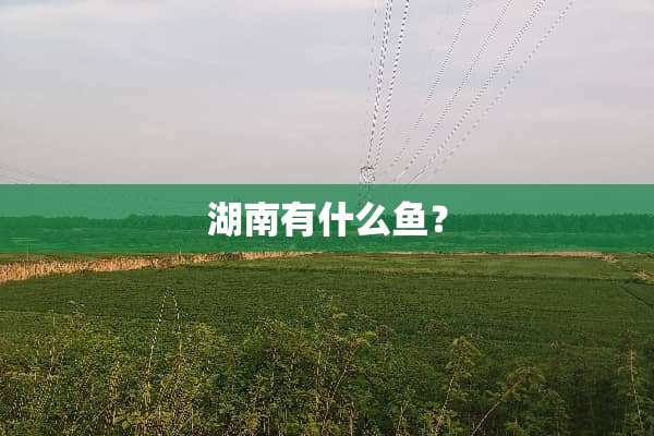 湖南有什么鱼？
