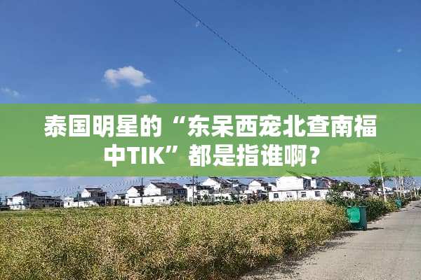 泰国明星的“东呆西宠北查南福中TIK”都是指谁啊？