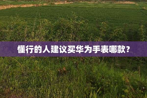 懂行的人建议买华为手表哪款？