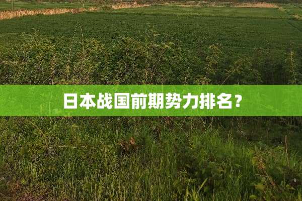 日本战国前期势力排名？