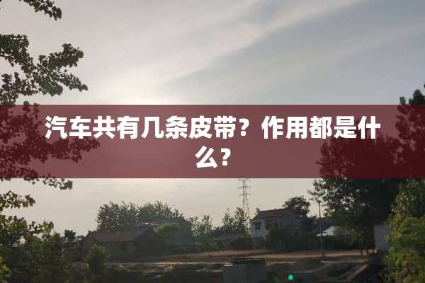 汽车共有几条皮带？作用都是什么？
