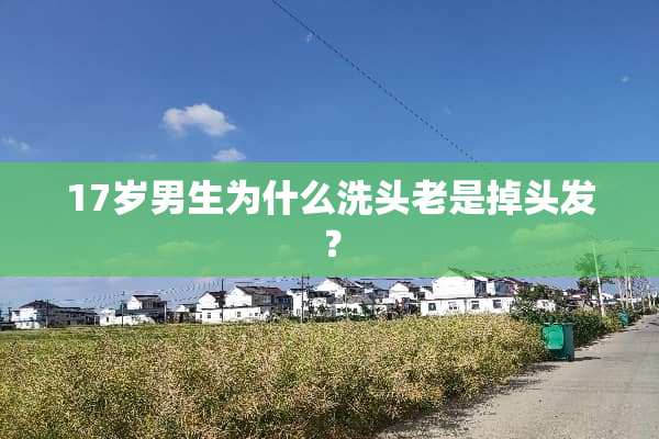 17岁男生为什么洗头老是掉头发？