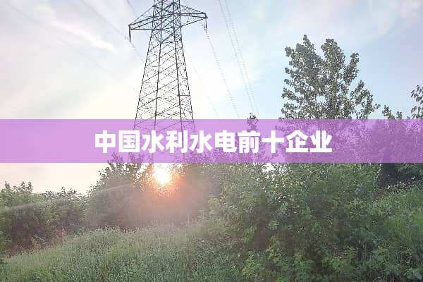 中国水利水电前十企业