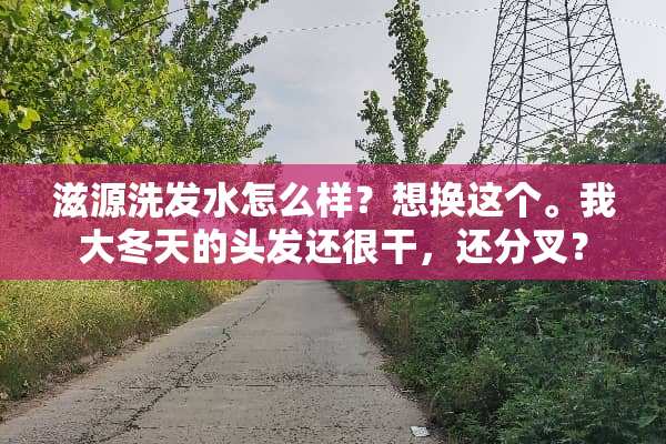 滋源洗发水怎么样？想换这个。我大冬天的头发还很干，还分叉？