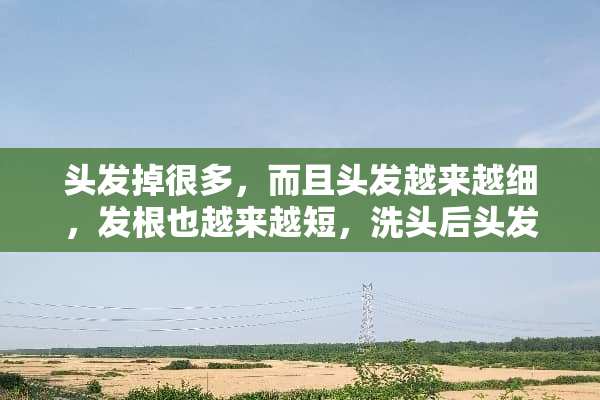 头发掉很多，而且头发越来越细，发根也越来越短，洗头后头发也不容易干？