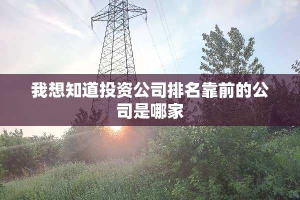 我想知道投资公司排名靠前的公司是哪家