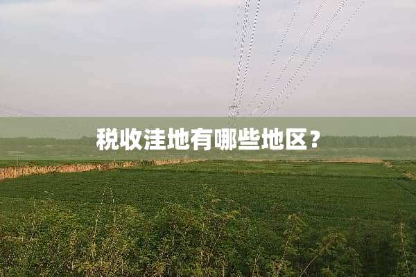 税收洼地有哪些地区？