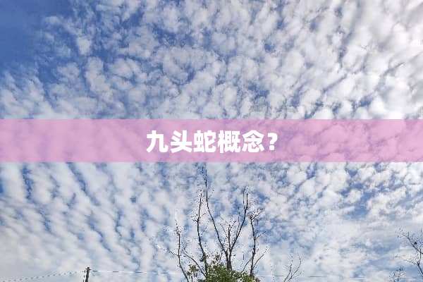 九头蛇概念？