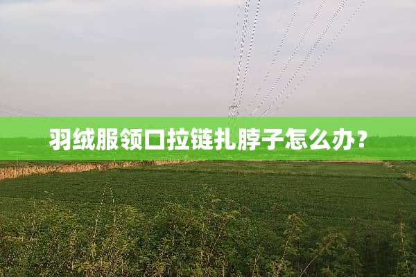 羽绒服领口拉链扎脖子怎么办？