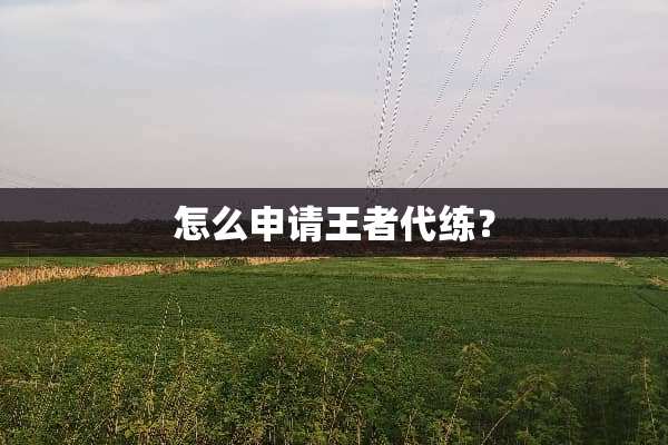 怎么申请王者代练？
