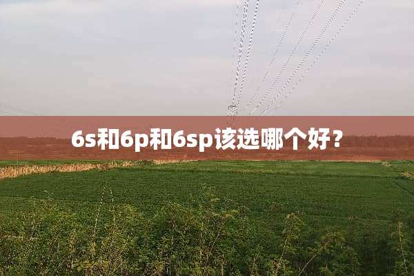 6s和6p和6sp该选哪个好？