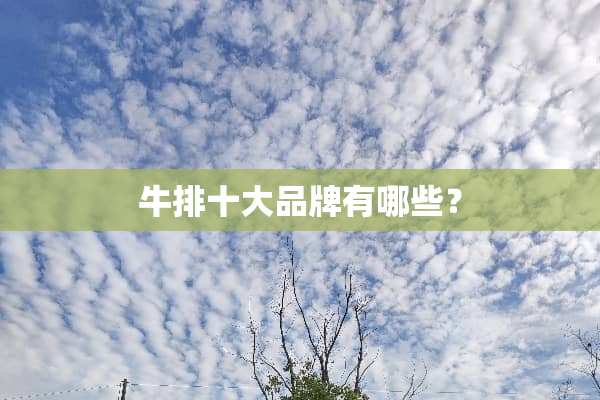 牛排十大品牌有哪些？