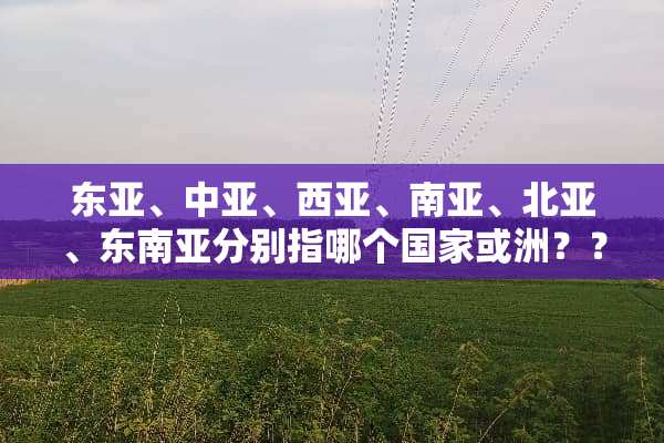 东亚、中亚、西亚、南亚、北亚、东南亚分别指哪个国家或洲？？