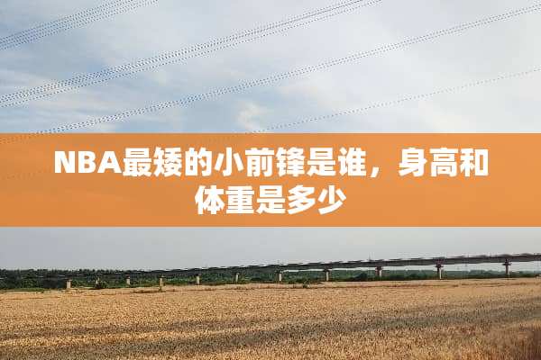 NBA最矮的小前锋是谁，身高和体重是多少