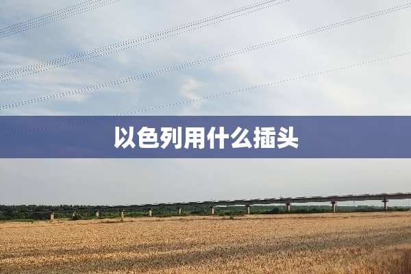 以色列用什么插头