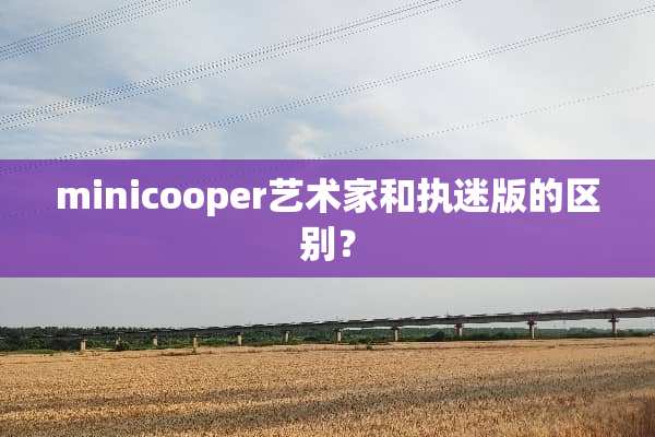 minicooper艺术家和执迷版的区别？