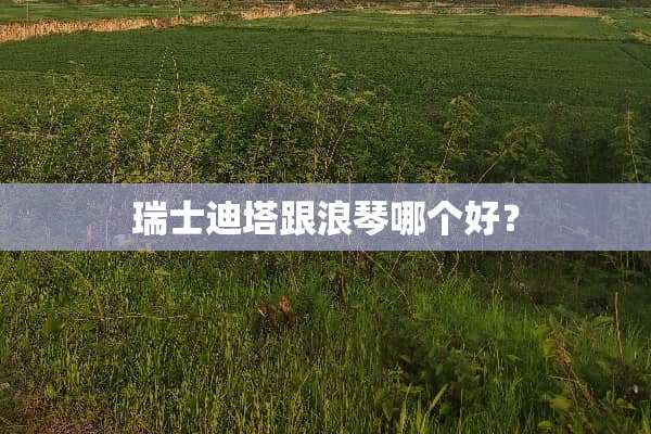 瑞士迪塔跟浪琴哪个好？