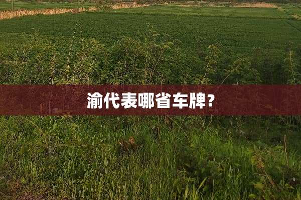 渝代表哪省车牌？