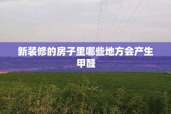 新装修的房子里哪些地方会产生甲醛