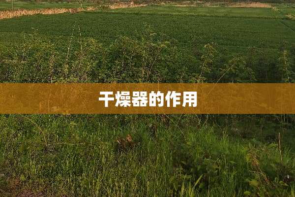 干燥器的作用