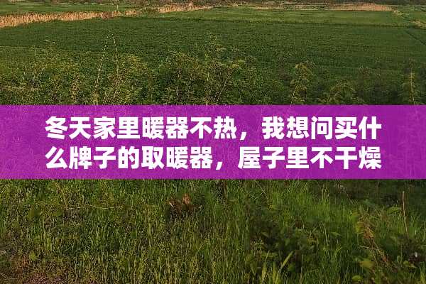 冬天家里暖器不热，我想问买什么牌子的取暖器，屋子里不干燥？