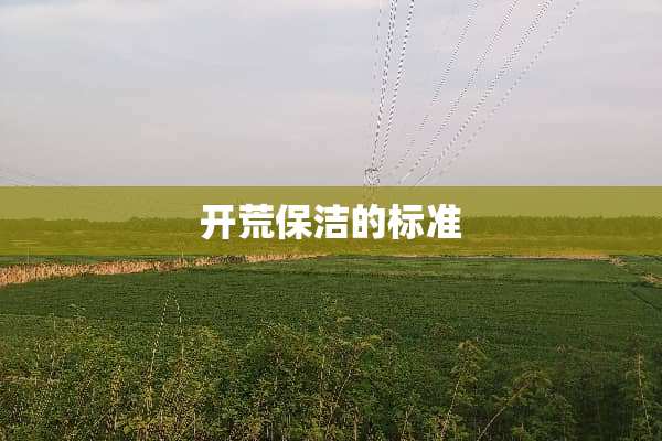 开荒保洁的标准
