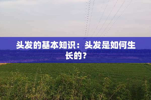 头发的基本知识：头发是如何生长的？