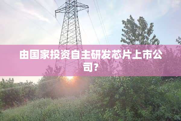 由国家投资自主研发芯片上市公司？