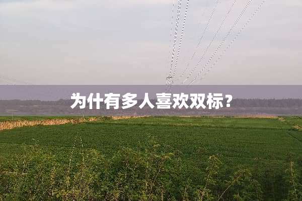 为什有多人喜欢双标？