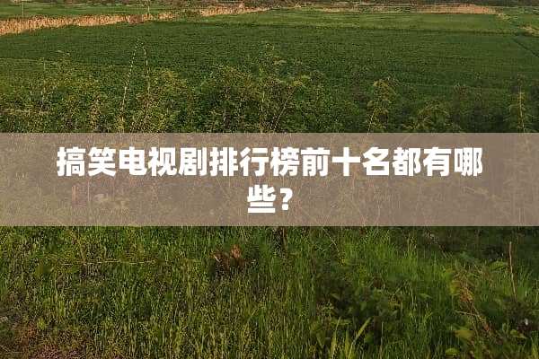 搞笑电视剧排行榜前十名都有哪些？