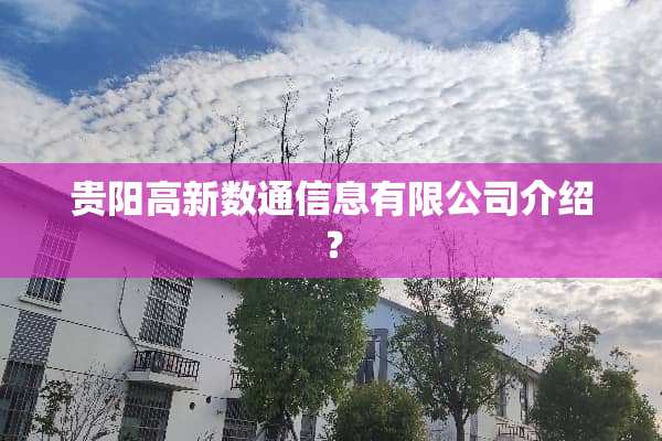 贵阳高新数通信息有限公司介绍？