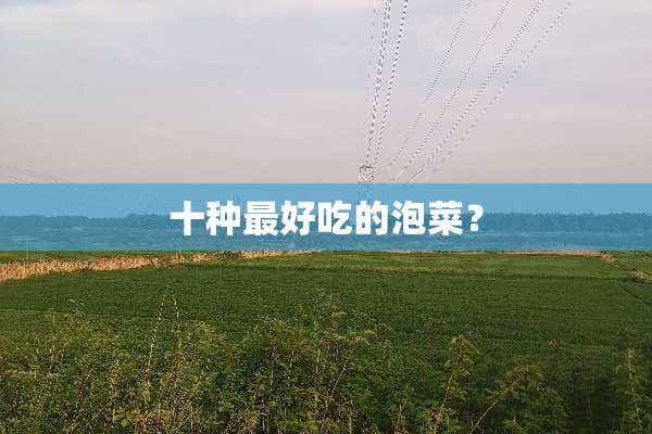 十种最好吃的泡菜？
