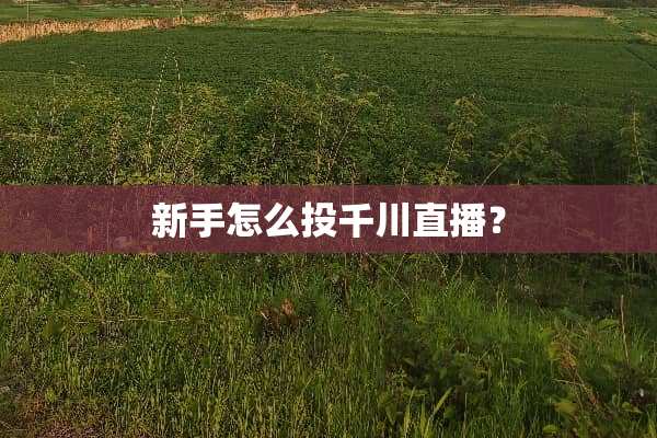 新手怎么投千川直播？