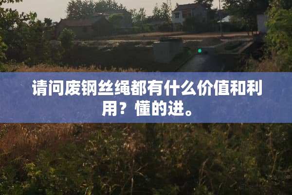 请问废钢丝绳都有什么价值和利用？懂的进。