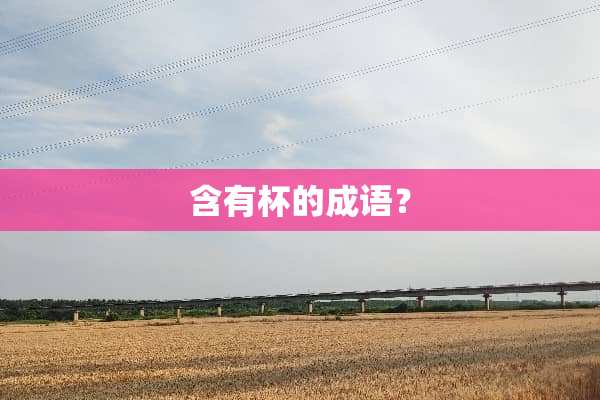 含有杯的成语？