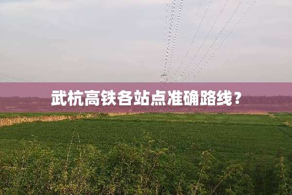 武杭高铁各站点准确路线？