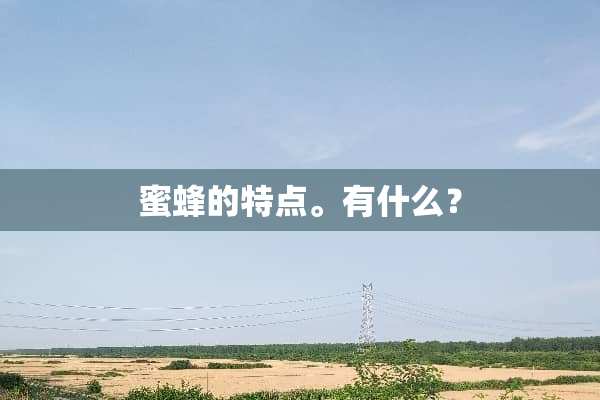 蜜蜂的特点。有什么？