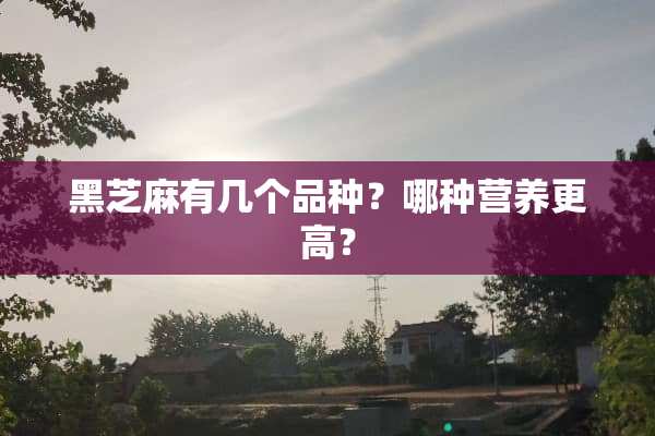 黑芝麻有几个品种？哪种营养更高？