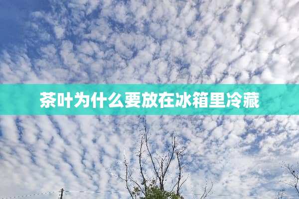 茶叶为什么要放在冰箱里冷藏