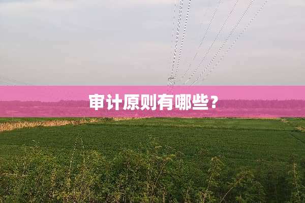 审计原则有哪些？
