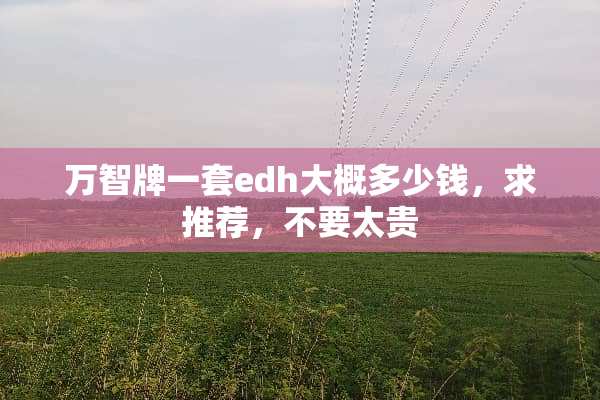 万智牌一套edh大概多少钱，求推荐，不要太贵