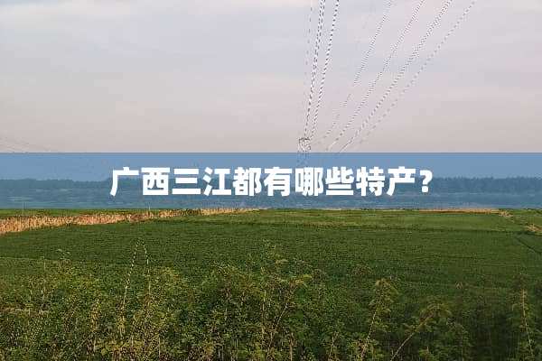 广西三江都有哪些特产？
