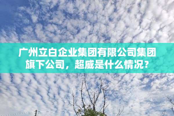 广州立白企业集团有限公司集团旗下公司，超威是什么情况？
